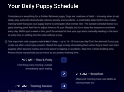 The 2026 Golden Retriever Training & Wellness System