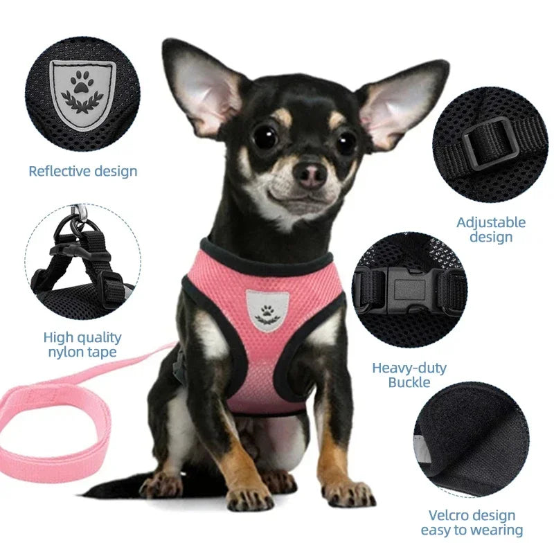 Soft-Touch Comfort Harness | Breathable "No-Choke" Vest & Leash Set