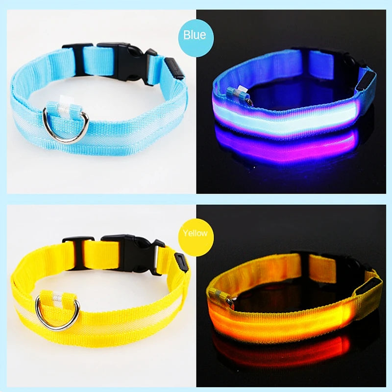 Guardian Glow LED Safety Collar | USB Rechargeable