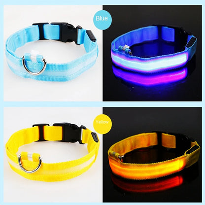 Guardian Glow LED Safety Collar | USB Rechargeable