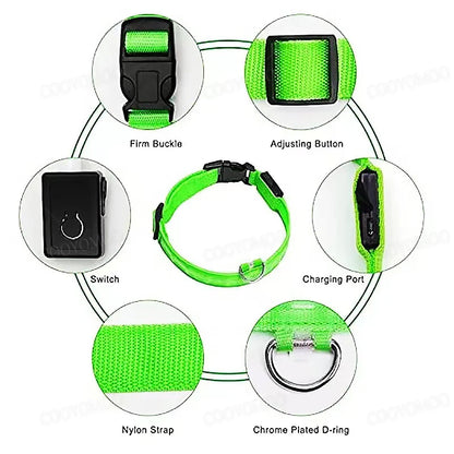 Guardian Glow LED Safety Collar | USB Rechargeable