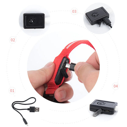 Guardian Glow LED Safety Collar | USB Rechargeable