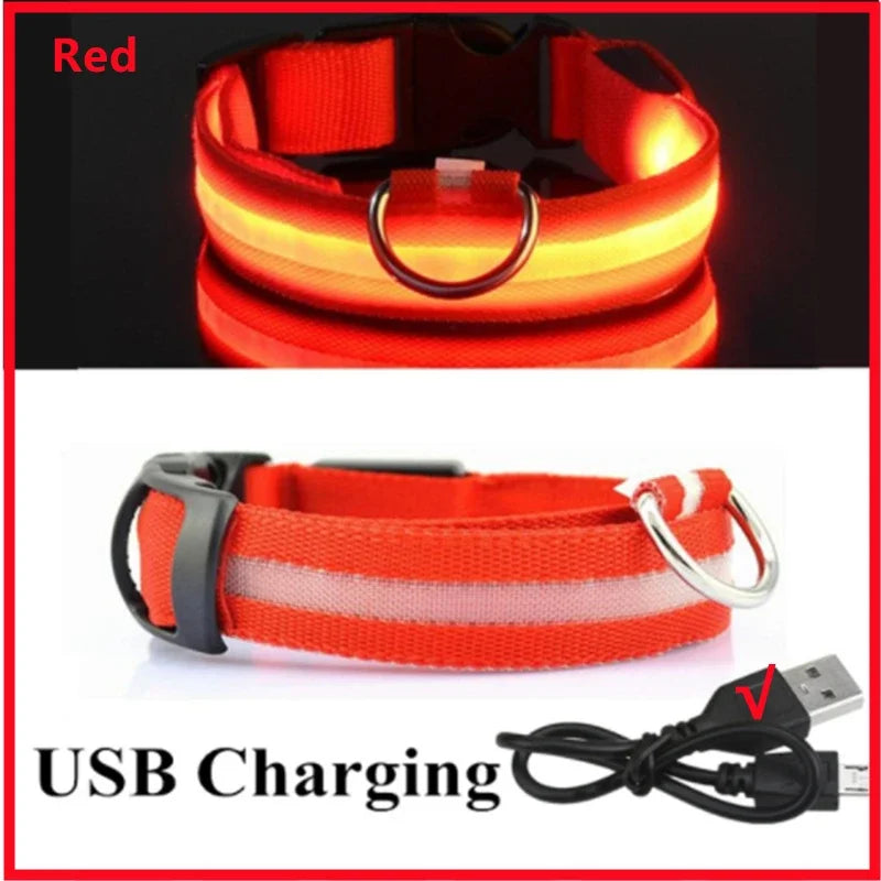 Guardian Glow LED Safety Collar | USB Rechargeable