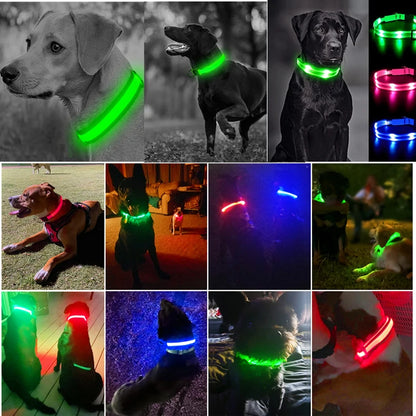 Guardian Glow LED Safety Collar | USB Rechargeable