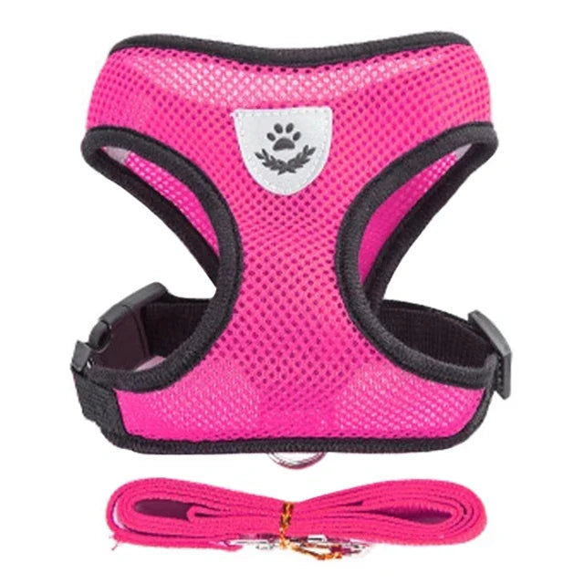 Soft-Touch Comfort Harness | Breathable "No-Choke" Vest & Leash Set