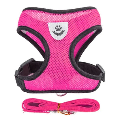 Soft-Touch Comfort Harness | Breathable "No-Choke" Vest & Leash Set