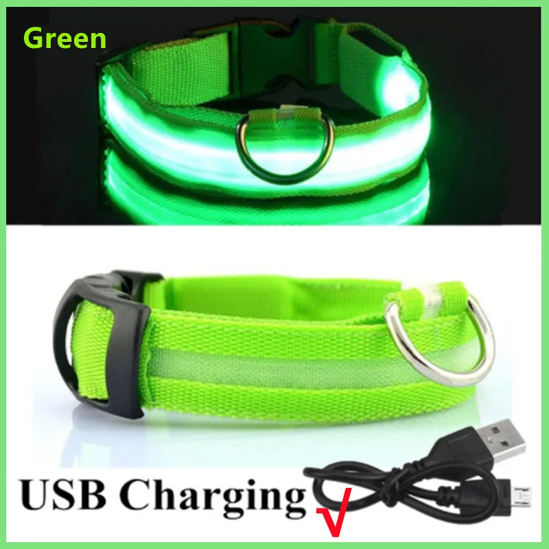 Guardian Glow LED Safety Collar | USB Rechargeable