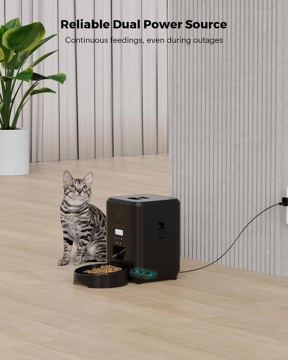 Smart-Schedule Automatic Feeder | 2L Precision Dispenser