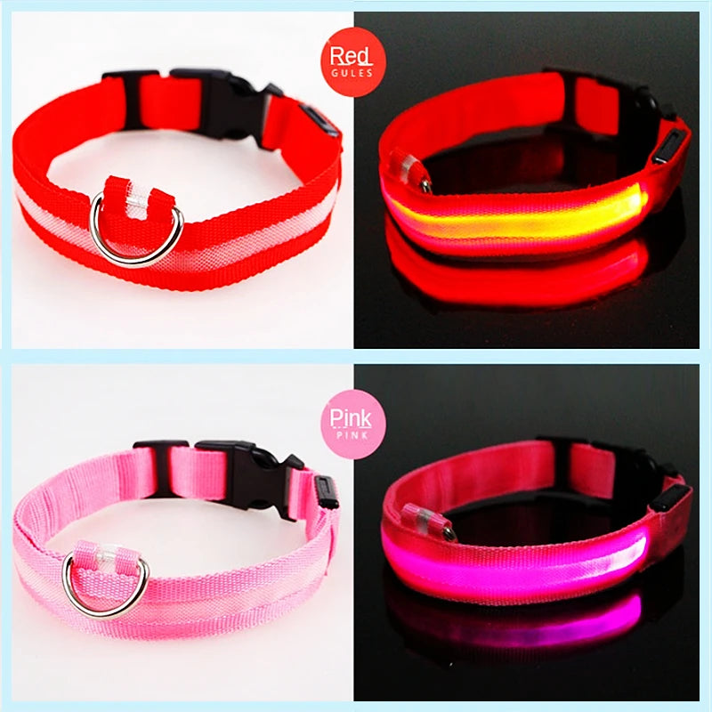 Guardian Glow LED Safety Collar | USB Rechargeable