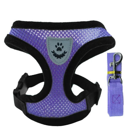 Soft-Touch Comfort Harness | Breathable "No-Choke" Vest & Leash Set