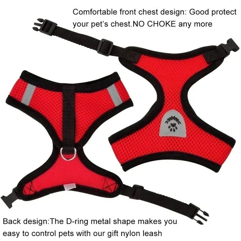 Soft-Touch Comfort Harness | Breathable "No-Choke" Vest & Leash Set