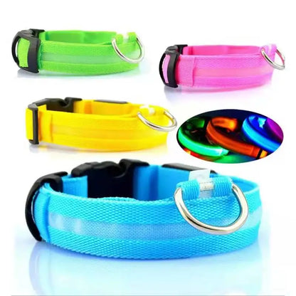 Guardian Glow LED Safety Collar | USB Rechargeable