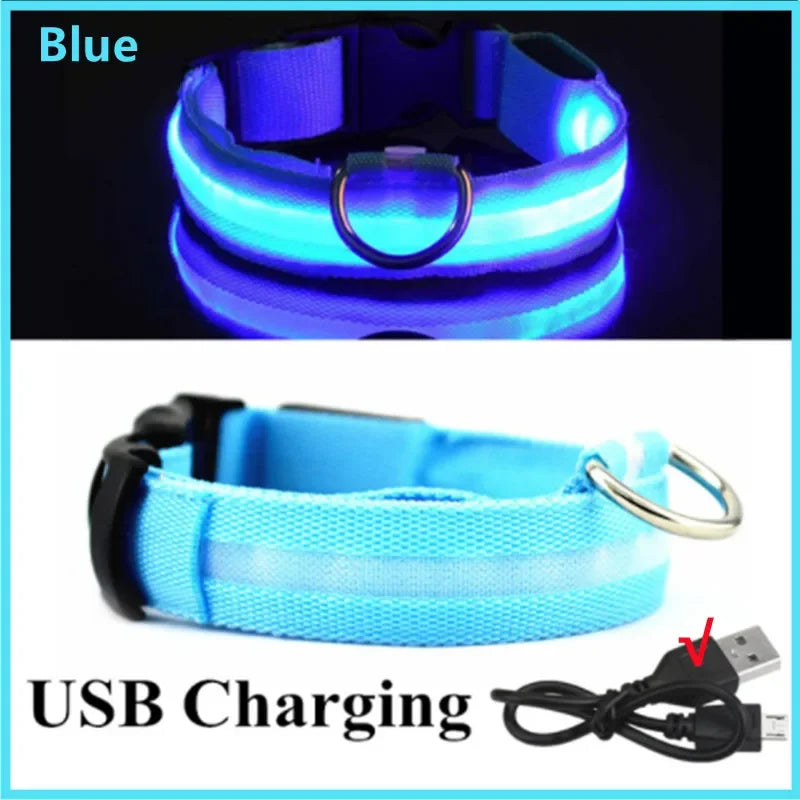 Guardian Glow LED Safety Collar | USB Rechargeable