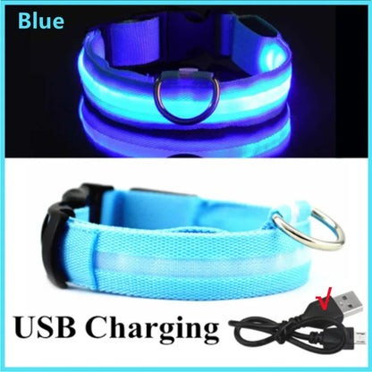 Guardian Glow LED Safety Collar | USB Rechargeable