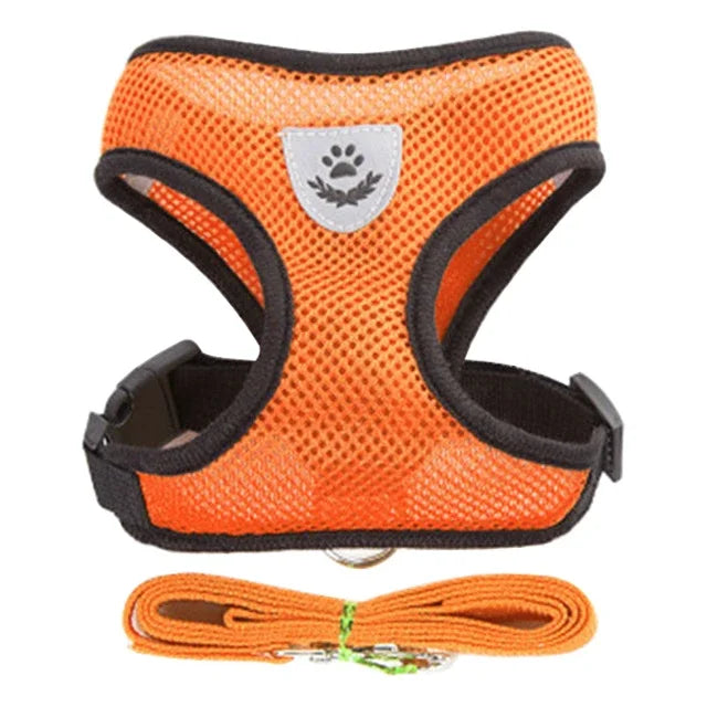 Soft-Touch Comfort Harness | Breathable "No-Choke" Vest & Leash Set