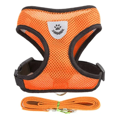 Soft-Touch Comfort Harness | Breathable "No-Choke" Vest & Leash Set