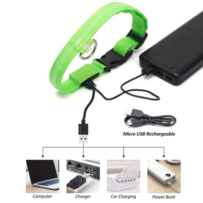 Guardian Glow LED Safety Collar | USB Rechargeable