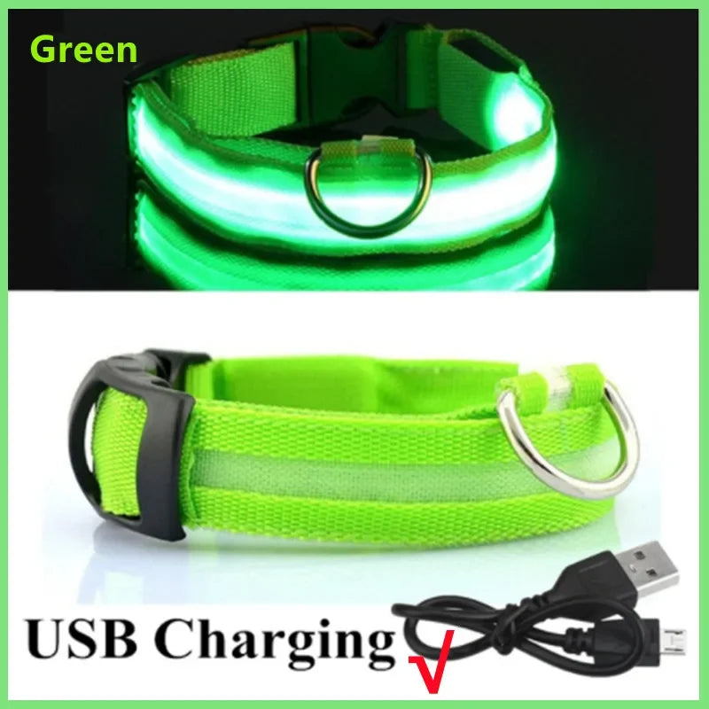 Guardian Glow LED Safety Collar | USB Rechargeable