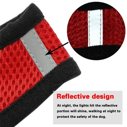 Soft-Touch Comfort Harness | Breathable "No-Choke" Vest & Leash Set