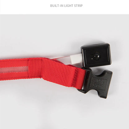 Guardian Glow LED Safety Collar | USB Rechargeable