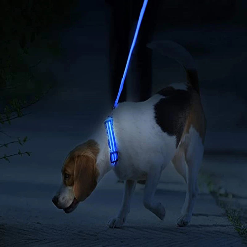 Guardian Glow LED Safety Collar | USB Rechargeable