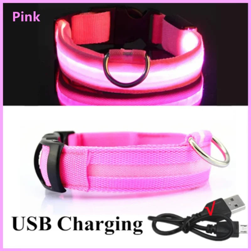 Guardian Glow LED Safety Collar | USB Rechargeable