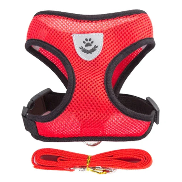 Soft-Touch Comfort Harness | Breathable "No-Choke" Vest & Leash Set
