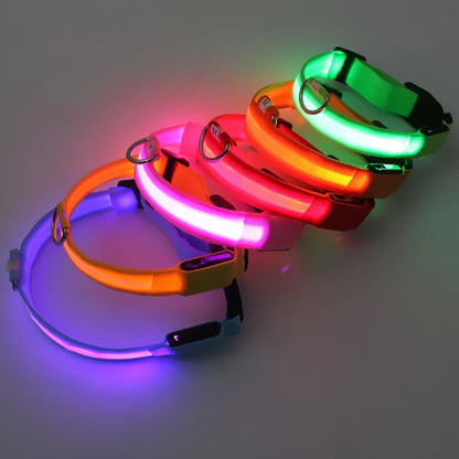 Guardian Glow LED Safety Collar | USB Rechargeable