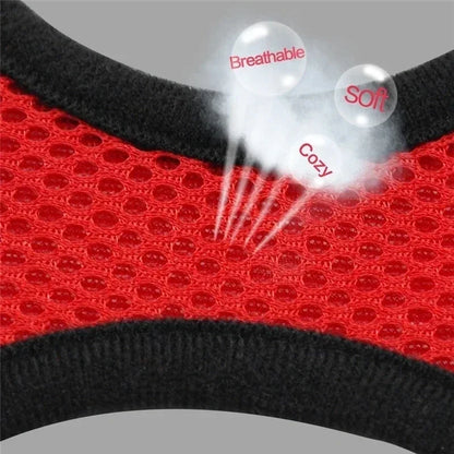 Soft-Touch Comfort Harness | Breathable "No-Choke" Vest & Leash Set