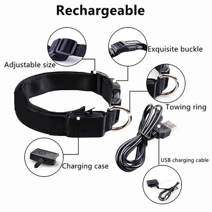 Guardian Glow LED Safety Collar | USB Rechargeable