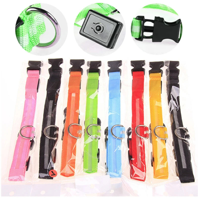 Guardian Glow LED Safety Collar | USB Rechargeable