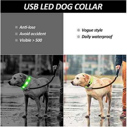 Guardian Glow LED Safety Collar | USB Rechargeable