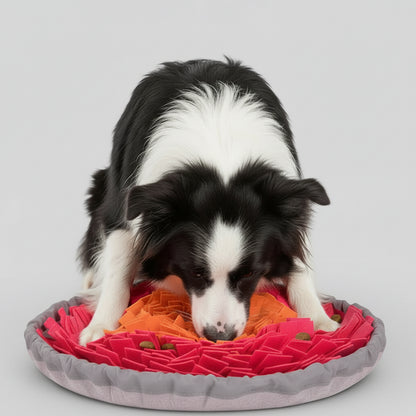 The "Nosework" Snuffle Mat