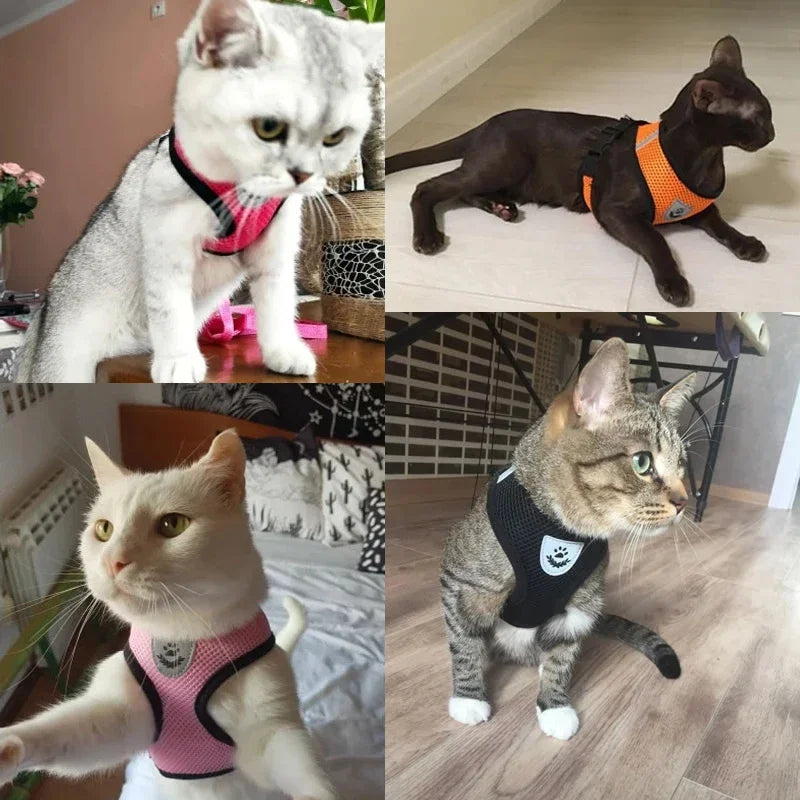 Soft-Touch Comfort Harness | Breathable "No-Choke" Vest & Leash Set