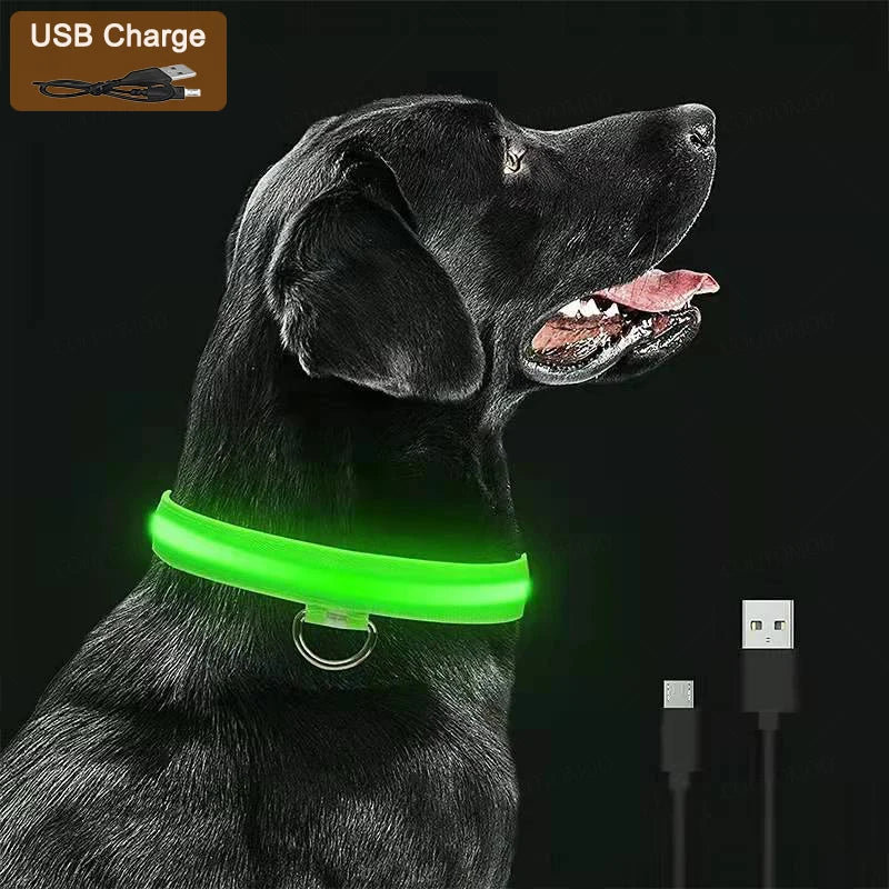 Guardian Glow LED Safety Collar | USB Rechargeable
