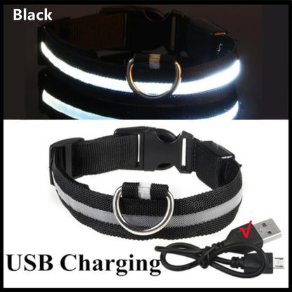 Guardian Glow LED Safety Collar | USB Rechargeable