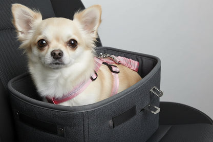 Universal Pet Safety Seat Belt
