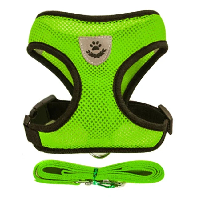 Soft-Touch Comfort Harness | Breathable "No-Choke" Vest & Leash Set
