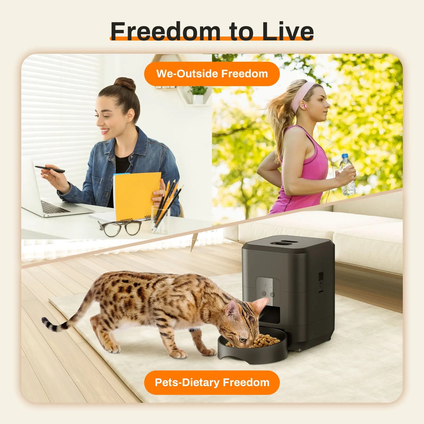 Smart-Schedule Automatic Feeder | 2L Precision Dispenser