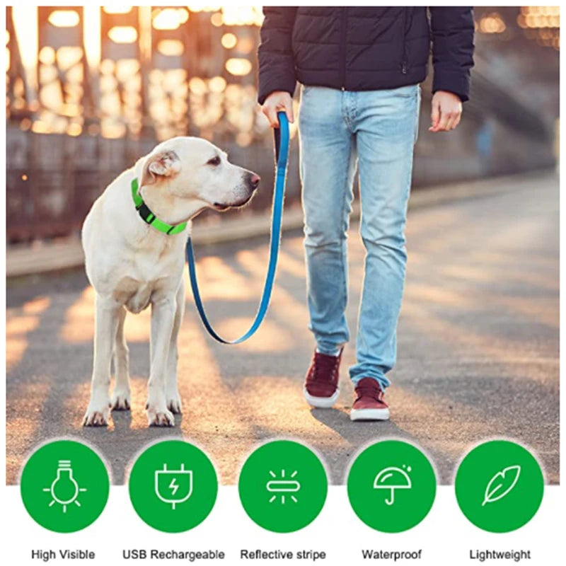 Guardian Glow LED Safety Collar | USB Rechargeable