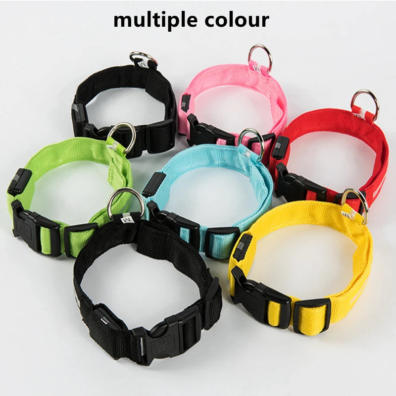Guardian Glow LED Safety Collar | USB Rechargeable