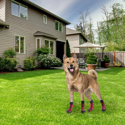 PawGuard Luxe Socks image 3