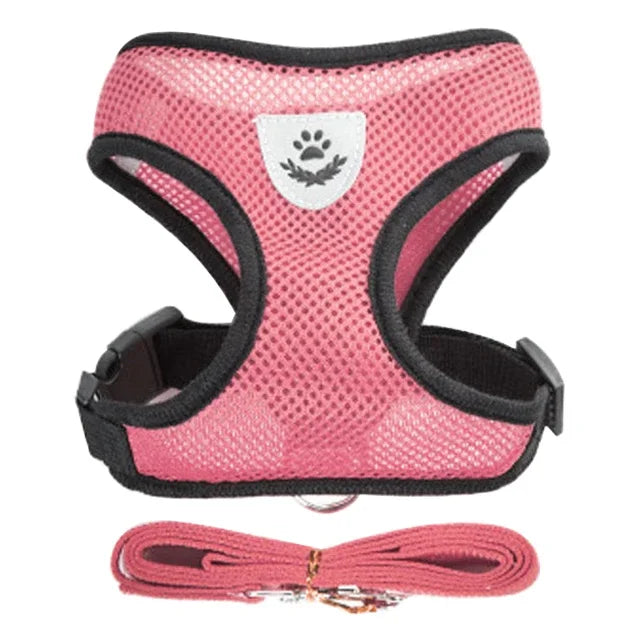 Soft-Touch Comfort Harness | Breathable "No-Choke" Vest & Leash Set