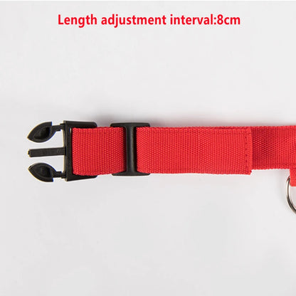 Guardian Glow LED Safety Collar | USB Rechargeable