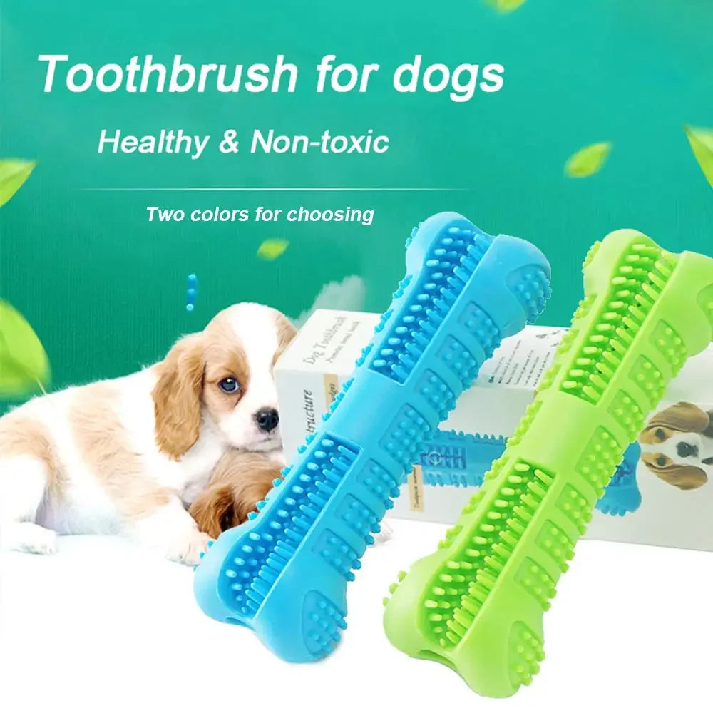 Brush-&-Play Dental Stick | Natural Deep-Clean Chew
