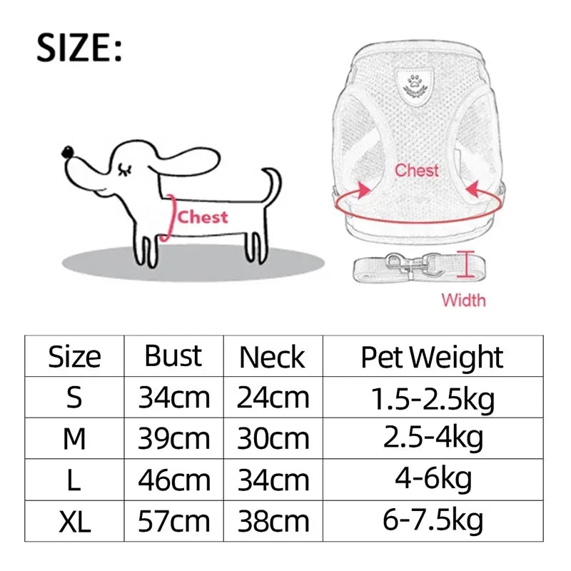 Soft-Touch Comfort Harness | Breathable "No-Choke" Vest & Leash Set