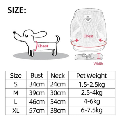 Soft-Touch Comfort Harness | Breathable "No-Choke" Vest & Leash Set