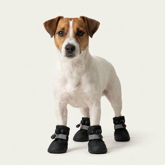 PawHalo Boots image 1